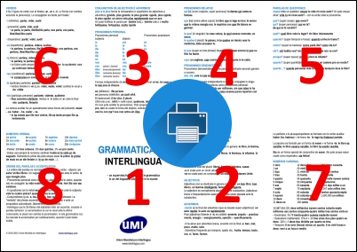 Microgrammatica de interlingua